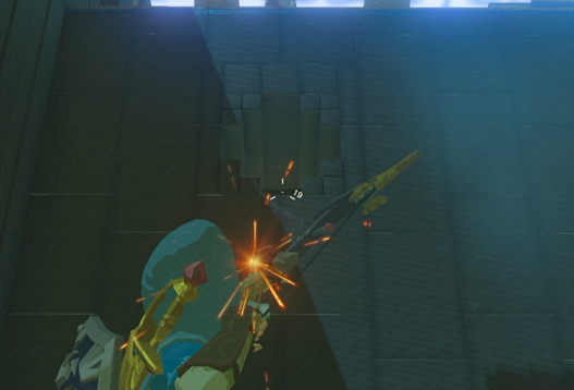 BotW: Shae Loya